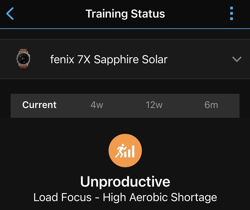 Garmin Connect screenshot